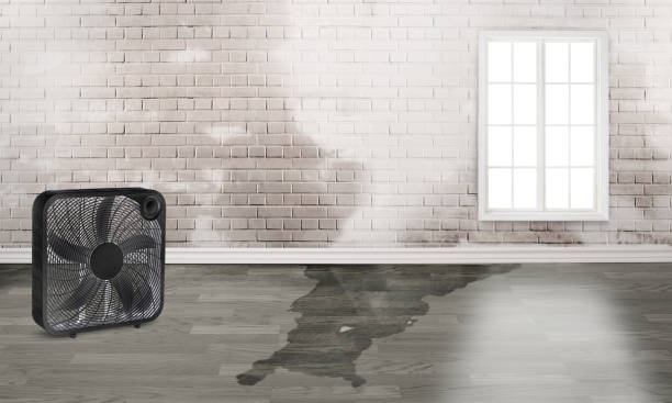 Best Emergency water damage restoration  in Rothsville, PA